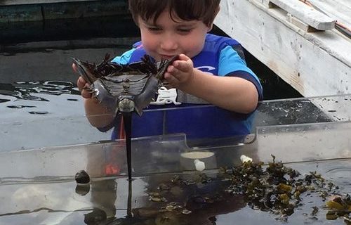 Join us for Windjammer Days