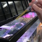 The process begins in early fall with hanging strands of sugar kelp (saccharina latissima) seedlings in a 29-gallon aquarium filled with either filtered seawater or “Instant Ocean” supported by a: Chiller; Inline UV Sterilizer; Air Pump; Quiet One Pro Pump; and F/2 Algae Food - Part A & Part B. Other tools include: Hydrometer; Thermometer; Refractometer; pH Strips; Data Logbook.