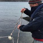 Seaweed farmer Seth Barker, of Maine Sea Farms, helps to plant the seaweed at the BSSC’s “farm” located at the Ocean Point Marina in East Boothbay, Maine.